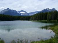 Herbert Lake am Icefields Parkway - Banff NP